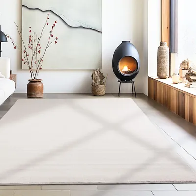 A modern living room with a fireplace, artwork, and a large rug.