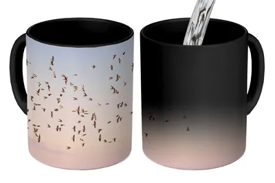 Obrázok produktu pre MuchoWow® Magický hrnček Magic Vogels - Zee - Lucht - Natuur - Zomer 350 ml hrnček na zmenu farby nápad na darček - Magický hrnček - fotohrnček - keramické hrnčeky - obrázky - šálka na kávu - hrnček na pitie - hrnčeky na kávu