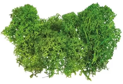 Produktbild von Kunstmoos, hellgrün, 10 g – Brewis