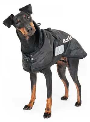 Immagine prodotto di Cappotto standard Back on Track - coperta per cani - S (21cm - 40cm) - nero