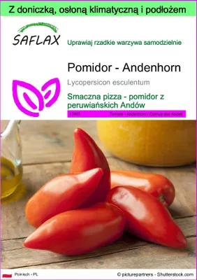 Zdjęcie produktu dla SAFLAX - Garden to go - Pomidor - Andenhorn - 10 Nasiona - Z doniczką, pokrywą klimatyczną i podłożem do uprawy - Lycopersicon esculentum