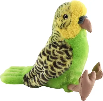 Imagen del producto de Periquito australiano, 19 cm