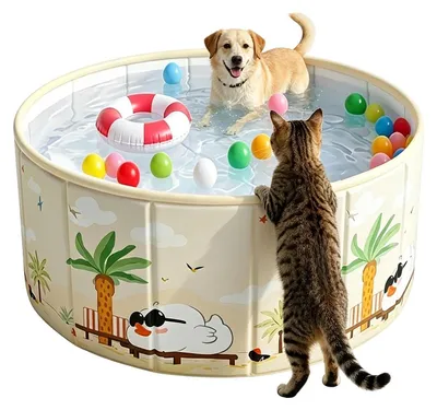 Produktbild von Faltbarer Pool für den Außenbereich, geeignet für Kinder und Haustiere