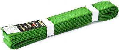 Produktbild von Gürtel Kimono BUSHINDO Karate Judo Aikido 300 cm Größe: 300