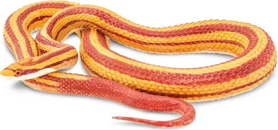 Produktbild von Safari Ltd Corn Snake Orange One Size