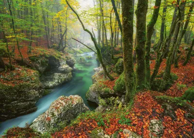 Obrázok produktu pre Heye Puzzle 30091, 1000 kusov, Umenie