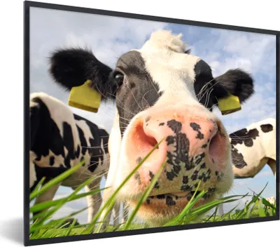 Produktbild von MuchoWow® Gerahmtes Poster Kuh - Bauernhof - Gras - Tiere 80x60 cm - Poster mit Schwarzem Bilderrahmen Wandposter Rahmen Foto Bilder - Schwarzem - Mit Gestell