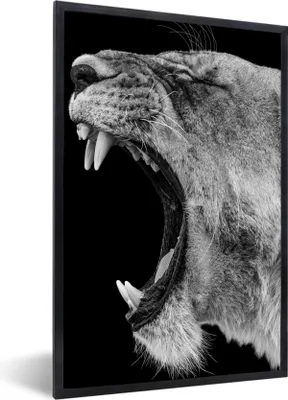 Produktbild von MuchoWow® Gerahmtes Poster Tiere - Löwe - Schwarz - Weiß - Porträt 60x90 cm - Poster mit Schwarzem Bilderrahmen Wandposter Rahmen Foto Bilder - Kunst