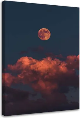 Produktbild von Leinwandbild rosa wolken 80x120 cm Feeby rosa wandbild bereit zum aufhängen