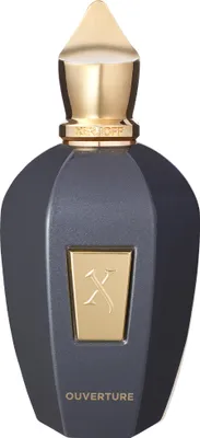 Image de Xerjoff " V " Ouverture Eau De Parfum 100 ml