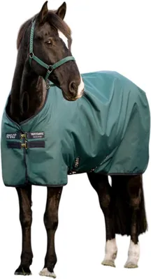 Produktbild von Horseware Ireland Weidedecke Amigo 50g Ripstop 900D Fleece Lined Decke Dynasty Green/Navy & Silver 145 cm