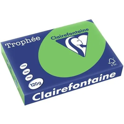 Image de Papier à copier Trophee A4 120g/qm VE=250 feuilles maigre vert