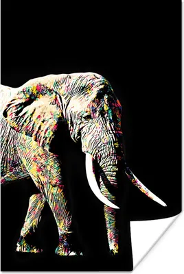 Produktbild von MuchoWow® Poster Elefant - Schwarz - Farben 40x60 cm - Plakate für die Wand - Poster Babyzimmer