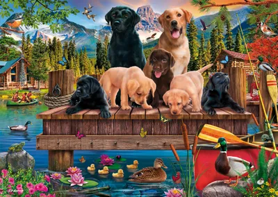 Immagine prodotto di Schmidt Spiele Puzzle Hundefamilie am See, Standard, Erwachsenenpuzzle, 1000 Teile, 59778