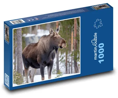 Zdjęcie produktu dla Puzzle 1000 Łoś w zimowym lesie - martinpuzzle