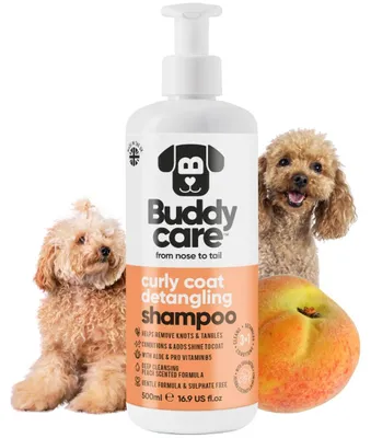 Produktbild von Curly Coat Entwirrendes Hundeshampoo von Buddycare | Tiefenreinigendes Shampoo für Hunde | Pfirsichduft | Mit Aloe Vera und Provitamin B5 (500ml)