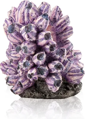Obrázek produktu pro biOrb barnacle cluster ornament
