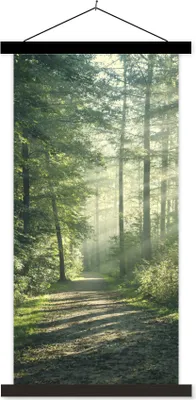 Produktbild von MuchoWow® Textilposter Wald - Weg - Sonne - Bäume - Grün - Natur 90x180 cm mit schwarzem Rahmen - Dekoration Wohnzimmer