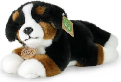 Immagine prodotto di Cagnolino di peluche di razza bovaro bernese, 24 cm, ECO-FRIENDLY