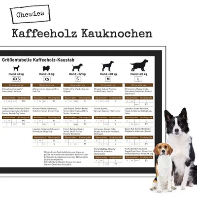 Produktbild von Chewies Kau-Knochen aus Kaffeeholz, Kauspielzeug für Hunde bis 5 kg, Größe XS