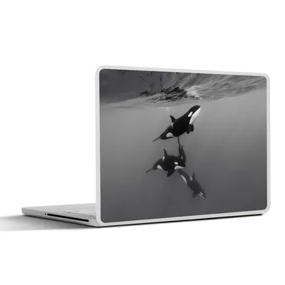 Produktbild von MuchoWow® Laptop Aufkleber Sticker Cover Orca - Wasser - Schwarz - Weiß 40x30 cm - Laptop Dekoration - Selbstklebend