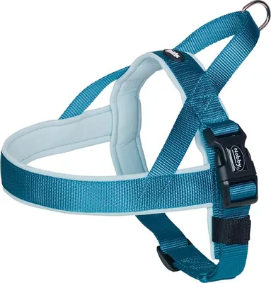Image de Harnais norvégien "Classic Preno" (L) turquoise