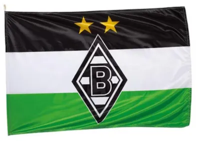 Produktbild von Borussia M´Gladbach Hissfahne "Logo" 150x100