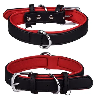 Produktbild von Hundehalsband Leder gepolstert verstellbar XS Schwarz
