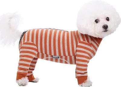 Produktbild von Elastische Katzen- und Hundepyjama, schützt Gelenke, nach Operation