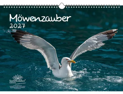 Produktbild von Möwenzauber DIN A3 Kalender für 2027 Vogel - Seelenzauber