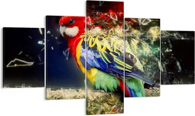 Produktbild von Bild auf Leinwand - Leinwandbild - Papagei Vogel Feder - 125x70cm - Wand Bild - Wanddeko - Leinwanddruck - Bilder - Kunstdruck - Wanddekoration - Leinwand bilder - Wandkunst - EA125x70-3682