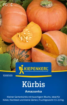 Artikelbild 2 von 'Kürbis Amazonka' aus der Kategorie Kürbissamen