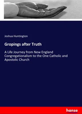 Produktbild von Gropings after Truth