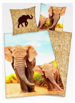 Produktbild von Bettwäsche Elefant mit Baby 135 x 200 cm (80 x 80 cm)
