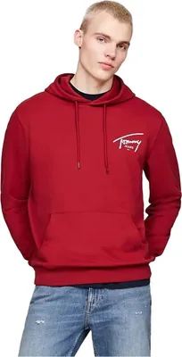Produktbild von Hoodie Tommy Hilfiger DM0DM19229XIT für Uni