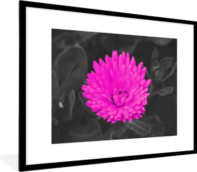 Produktbild von MuchoWow® Gerahmtes Poster Blumen - Aquarell - Rosa 80x60 cm - Poster mit Schwarzem Bilderrahmen Wandposter Rahmen Foto Bilder - Schlafzimmer-Dekorationen - Fotoposter
