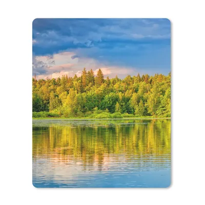 Produktbild von MuchoWow® Mauspad Mousepad Wasser - Natur - Wald 30x40 cm - Mousepads - Maus Mat - Pad - Mausunterlage - Mausmatten