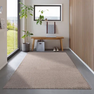 A modern entryway with a rug, bench, plant, and window.