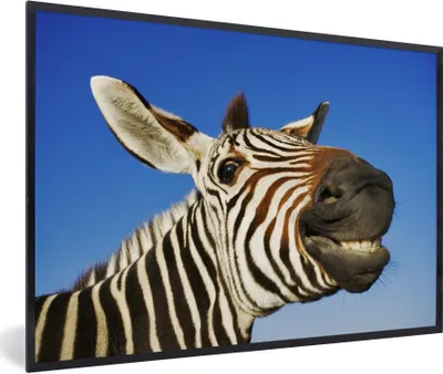 Produktbild von MuchoWow® Gerahmtes Poster Zebra - Lustig - Kinder - Jungen - Mädchen 60x40 cm - Poster mit Schwarzem Bilderrahmen Wandposter Rahmen Foto Bilder - Printing - Wanddeko Schlafzimmer