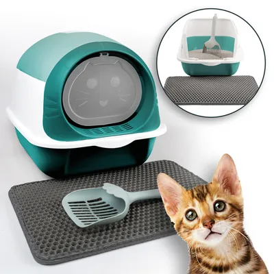 A cat litter box with a lid, a litter mat, and a scoop, with a kitten in the foreground.