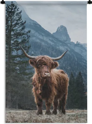 Produktbild von MuchoWow® Wandteppich Wandbehang Berge - Winter - Schottische Highlander 60x90 cm Tapisserie Dekoration Wandtuch - Foto-Teppich - Abwaschbar