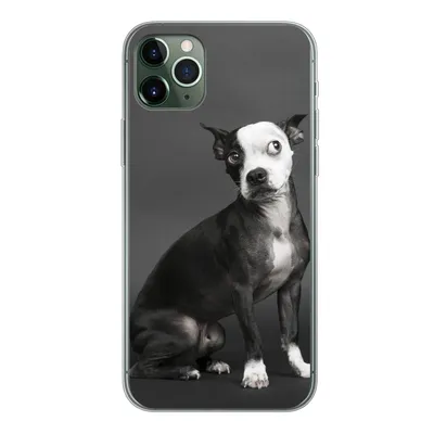 Produktbild von MuchoWow® Handyhülle Schutzhülle Hülle für iPhone 11 Pro Max Hund - Spot - Porträt Silikon Softcase Handy Hülle