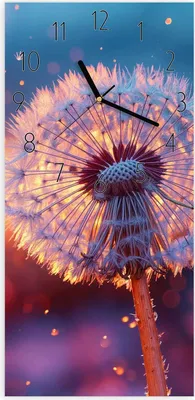 Produktbild von Wanduhr aus Glas mit Motiv Pusteblume Sonnenuntergang- 30 x 60 cm - inkl. Aufhängesystem