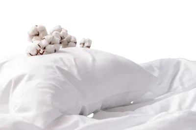 Image de Oreiller Coton moelleux - 60 x 60 - 3952