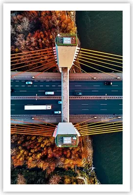 Produktbild von Poster - Poster ohne Rahmen - Brücke Siekierkowski Warschau - 61x91,5 cm - Wand Bild - Wanddeko - Wandbilder - Kunstposter - Wandposter - Bilder - Kunstdruck - Wanddekoration - P2XPA61x91-4663