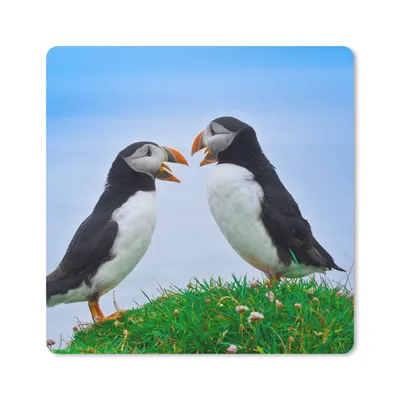 Produktbild von MuchoWow® Mauspad Mousepad Tiere - Vögel - Papageientaucher 20x20 cm - Mousepads - Maus Mat - Pad - Mausunterlage - Desk Mat - Bureauartikeln