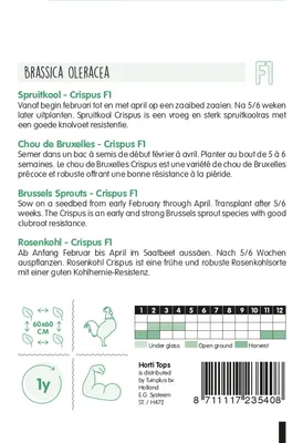 Produktbild von Rosenkohl Crispus F1 | Rosenkohlsamen von Hortitops
