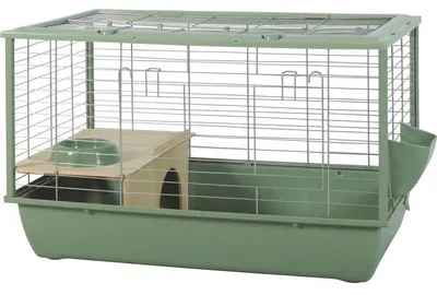Image de ZOLUX Cage grillagée cochon d'inde et rongeur Néolife - 80 x 52,5 x 48 cm - Vert