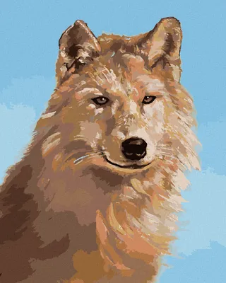 Zdjęcie produktu dla Zuty - Painting by Numbers - WOLF PORTRAIT III (D. RUSTY RUST), 40x50 cm, płótno naciągnięte na ramę
