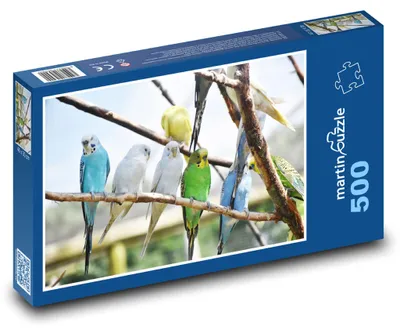 Produktbild von Puzzle 500 Bunte Papageien auf einem Ast - martinpuzzle